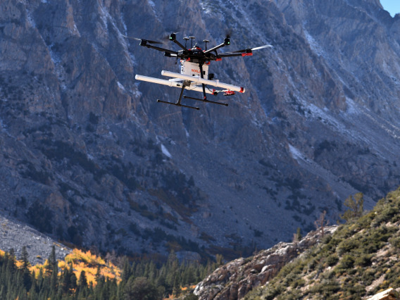 Drone in the Sierras
